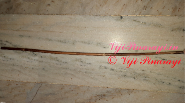 Cane that Anju Chechi used to force Viji to defecate